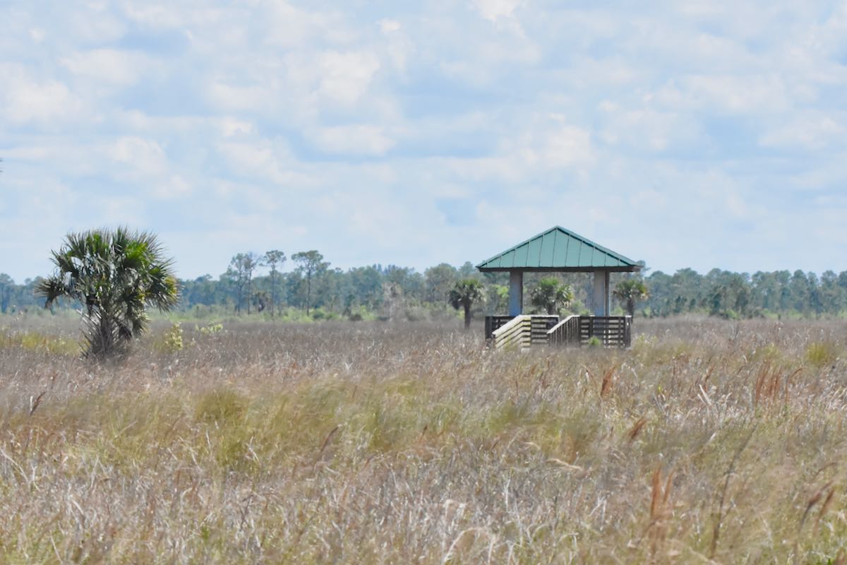 pine glades natural area